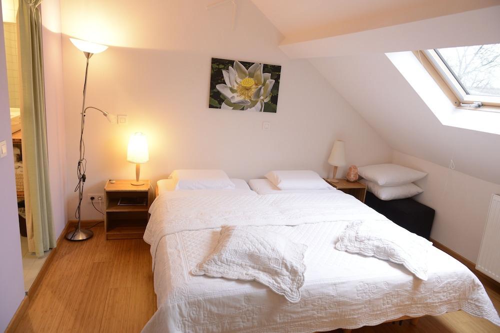 B&B Bio Brussels Saint-Gilles 외부 사진